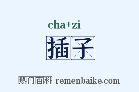 插子是什么意思的图片